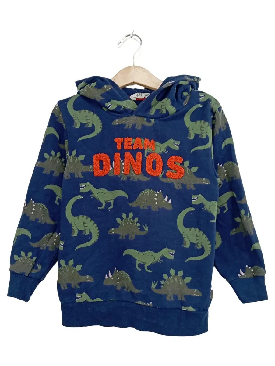 H&M Kapuzenpullover Bild 1
