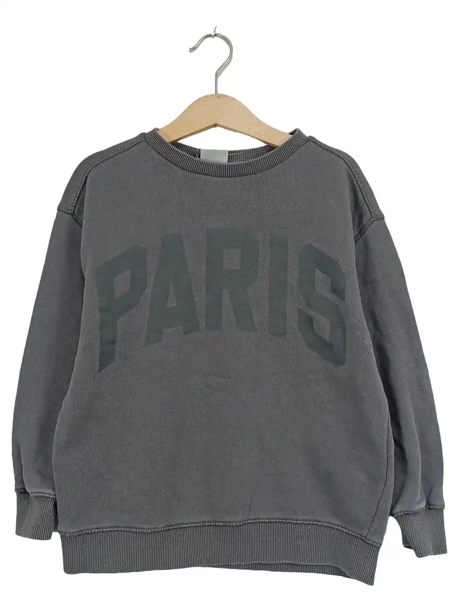 ZARA Sweatshirt Bild 1