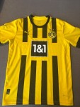 Vorschaubild 3 von Borussia Dortmund BVB 09 Fußball Trikot Herren Gr. 50 L Gelb Reus 11