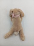 Vorschaubild 3 von Kuscheltier Hund Chihuahua Beige mit rosa Band 22 cm