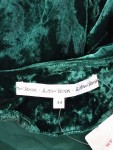 Vorschaubild 3 von & OTHER STORIES Wickelrock Damen 34/XS Grün Samt Maxirock Elegant