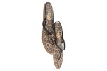 Vorschaubild 1 von Damen Zehentrenner Leopard Print Gr. 38 Mehrfarbig