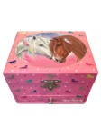 Vorschaubild 1 von Schmuckkästchen Kinder Rosa Pferde Sterne Aufbewahrungsbox