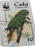 Vorschaubild 2 von Briefmarken Cuba 1998 Fauna Protegida Papagei Aratinga euops gestempelt