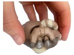 Vorschaubild 2 von Pop! Marvel Rocket Raccoon Baby Waschbär Figur 7cm