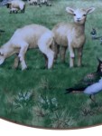 Vorschaubild 3 von Sammelteller Lämmer Vögel Natur Porzellan 24cm