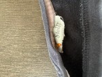Vorschaubild 4 von Kinder Langarmshirt Baby Gr. 74 Blau Casual mit Teddybär Applikation