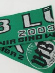 Vorschaubild 2 von Fanschal Logo Grün 18x166 cm Herren Sport