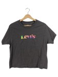 Vorschaubild 1 von Damen T-Shirt Logo Regenbogen Print Grau Gr. XS 34