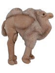 Vorschaubild 1 von Kuscheltier Cosy Kamel Beige 27 cm Plüschtier Stofftier