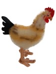 Vorschaubild 1 von Kuscheltier Hahn Stofftier Huhn Plüschtier 16 cm Beige