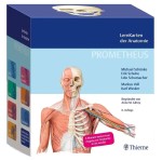Vorschaubild 1 von PROMETHEUS LernKarten Anatomie Thieme Medizinstudium