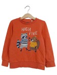Vorschaubild 1 von Sweatshirt Gr. 110 Orange Waschbär Biber