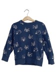 Vorschaubild 1 von Sweatshirt Waschbären Muster Gr. 110