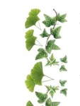 Vorschaubild 3 von Transparent-Sticker Blätter 10er Set Blumen