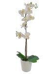 Vorschaubild 1 von Künstliche Orchidee Weiß Topf Deko Blumen Kunstpflanze