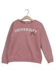 Vorschaubild 1 von Pullover Gr. 138 Rosa Gepunktet University
