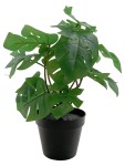 Vorschaubild 1 von Künstliche Monstera Pflanze Topf Deko Grün 33cm