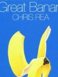 Vorschaubild 2 von Dekofigur Bananenschale Kunststoff Gelb Ananas