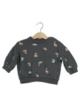 Vorschaubild 1 von Sweatshirt Kinder Gr. 86 Dinosaurier Motiv Grau Baumwolle