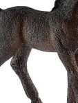 Vorschaubild 4 von Lipizzaner Fohlen Pferd Spielfigur Kinder Braun 8 cm