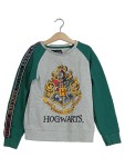 Vorschaubild 1 von Sweatshirt Kinder Langarm Logo Print Grau Gr. 140