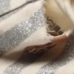 Vorschaubild 5 von Espadrilles Damen Gr. 37 Silber Beige Gestreift Glitzer Schnürung