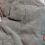 Vorschaubild 4 von Baby Steppweste Gr. 62 (3 Monate) Grau Cord Bär Applikation Casual