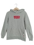 Vorschaubild 1 von Kinder Kapuzenpullover Hoodie Grau Logo Print Gr. 116