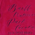 Vorschaubild 4 von Fleecepullover Damen Gr. 42/XL Pink Polyester Schriftzug Casual Langarm