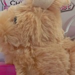 Vorschaubild 4 von Chi Chi LOVE Little Puppy Elektronisches Stofftier Hund Beige