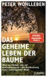 Vorschaubild 1 von Peter Wohlleben Das geheime Leben der Bäume Sachbuch Natur Hardcover Deutsch