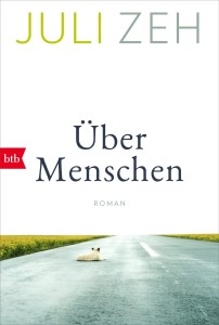 Gesellschaftsroman