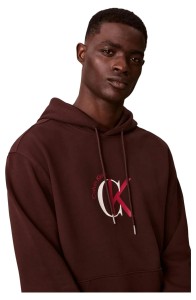 CALVIN KLEIN Kapuzenpullover