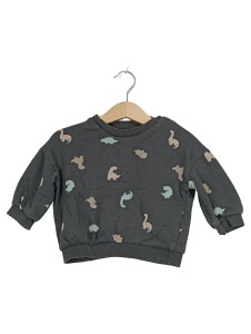 H&M Sweatshirt