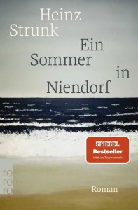 Gesellschaftsroman