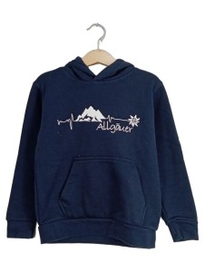 JAMES & NICHOLSON Kapuzenpullover