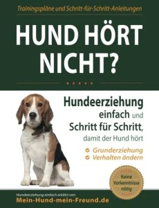 Allgemeines Sachbuch