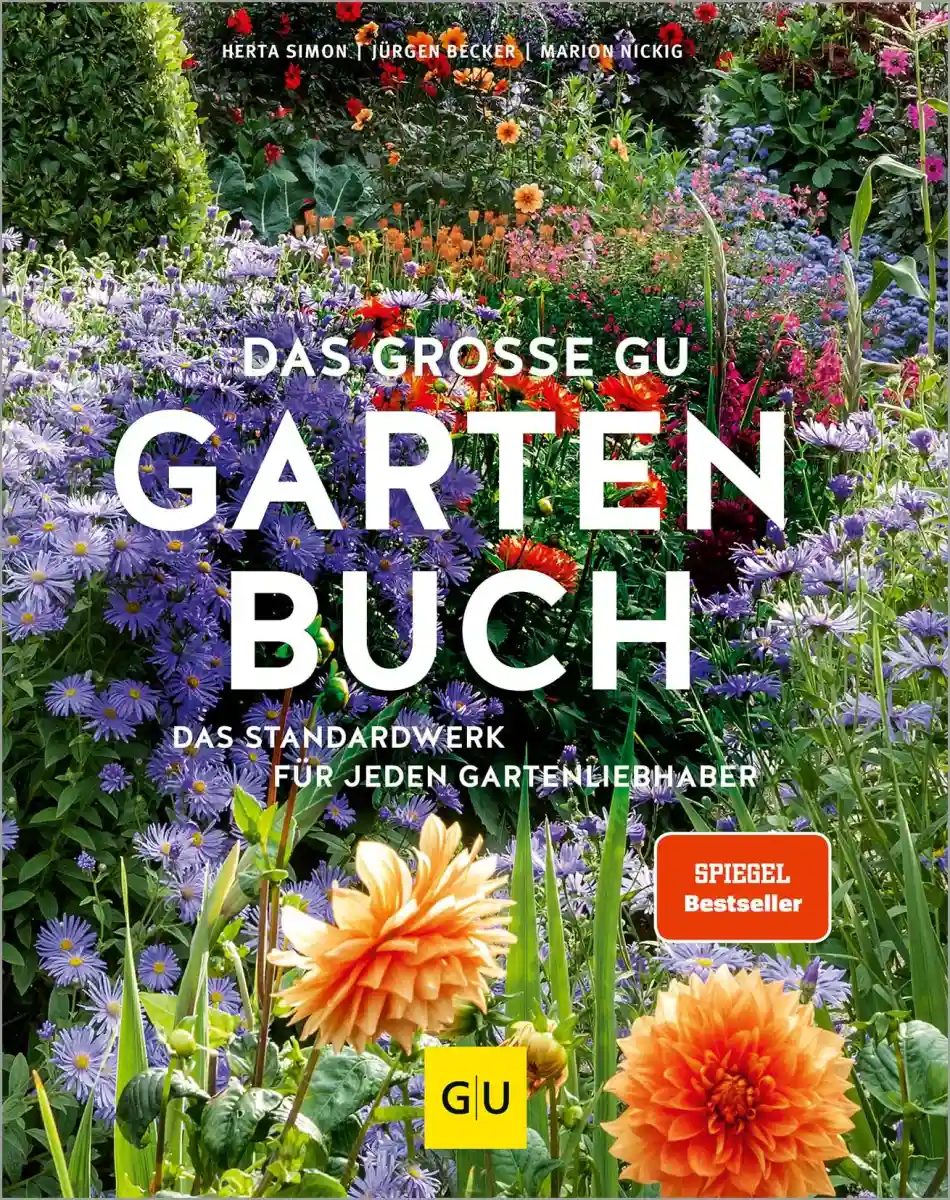 Hobbybuch