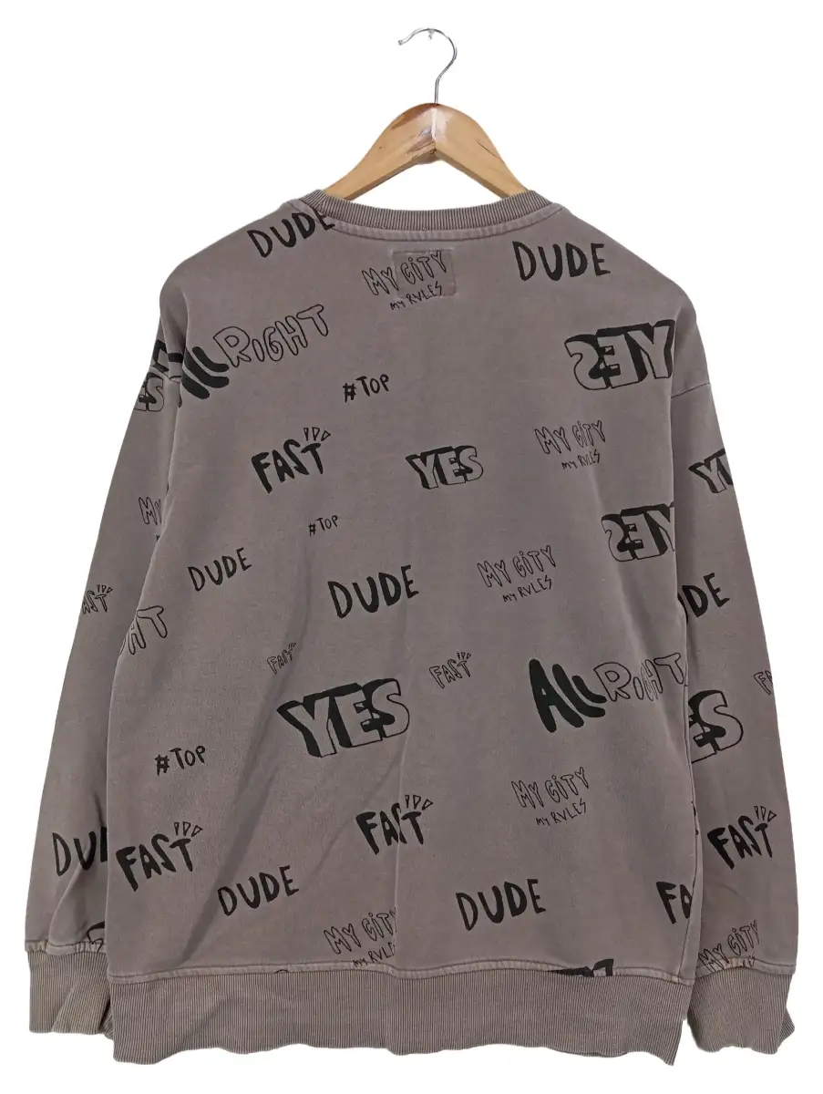 ZARA Sweatshirt Bild 2