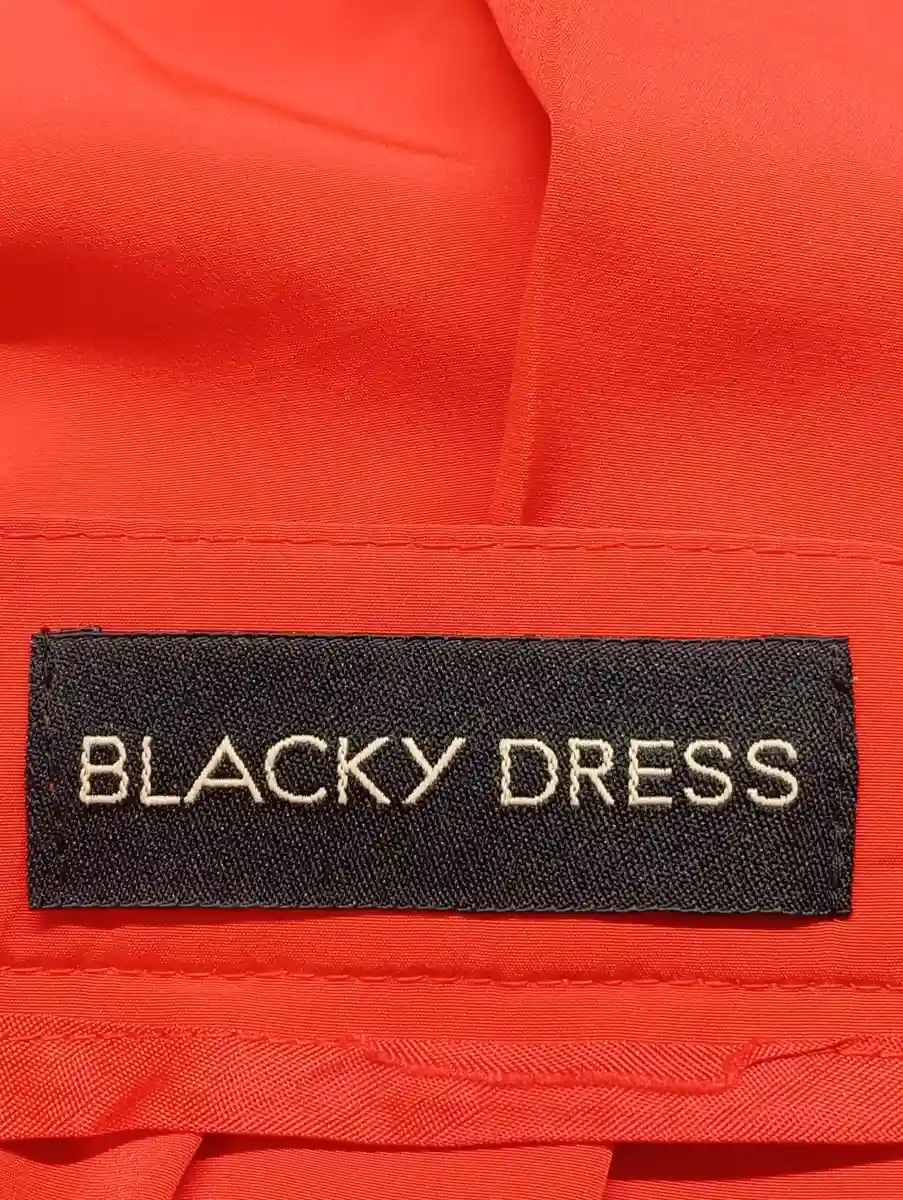 BLACKY DRESS Faltenrock Bild 3