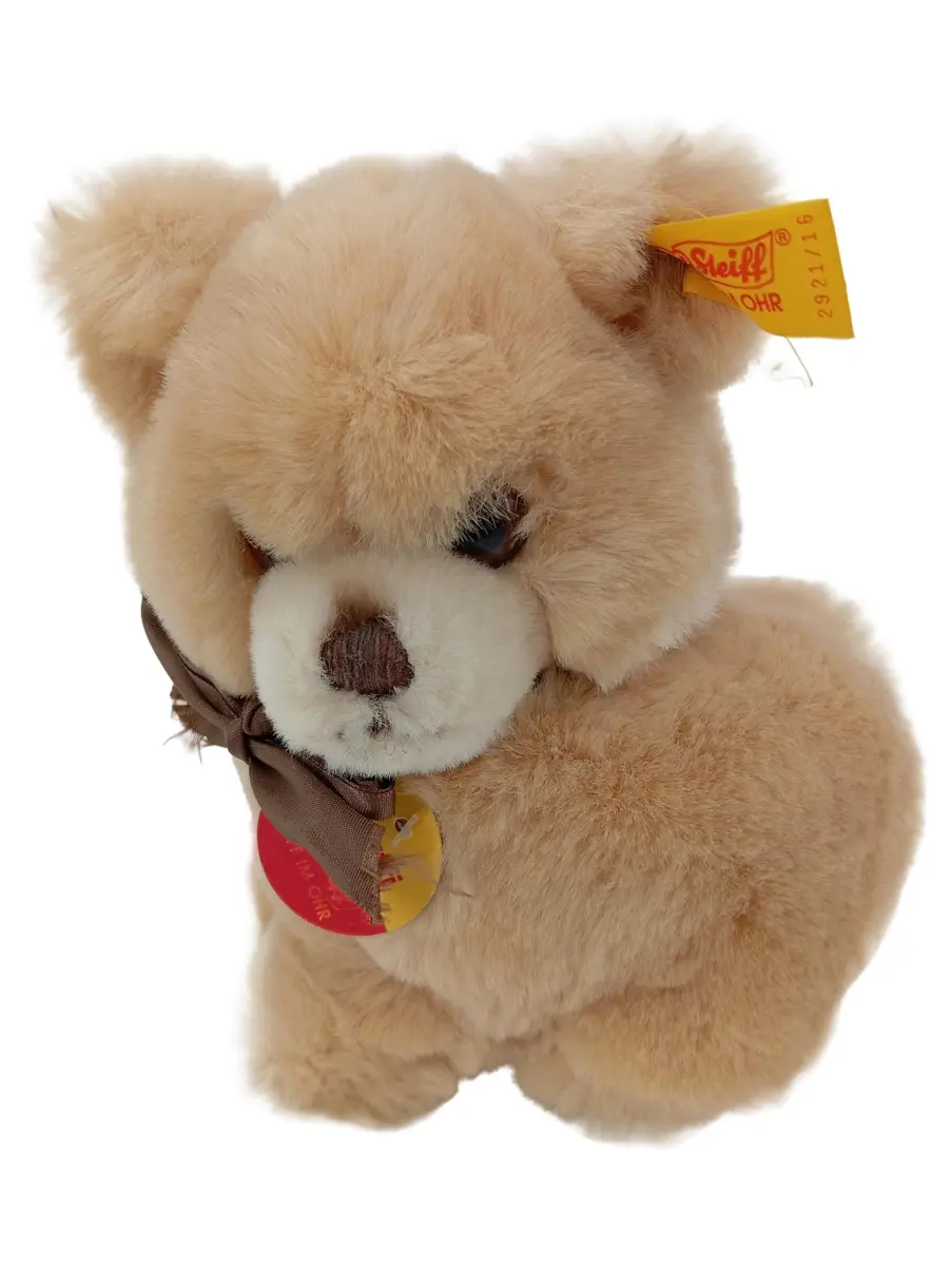 Bär Merchandise & Geschenke