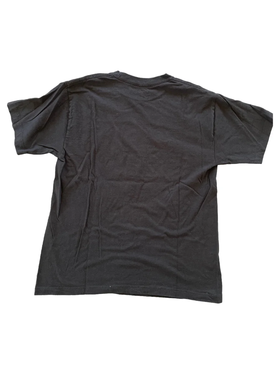 LEGO Fanshirt Bild 2