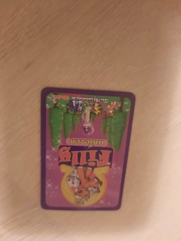 FILLY Sammelkarte Bild 3