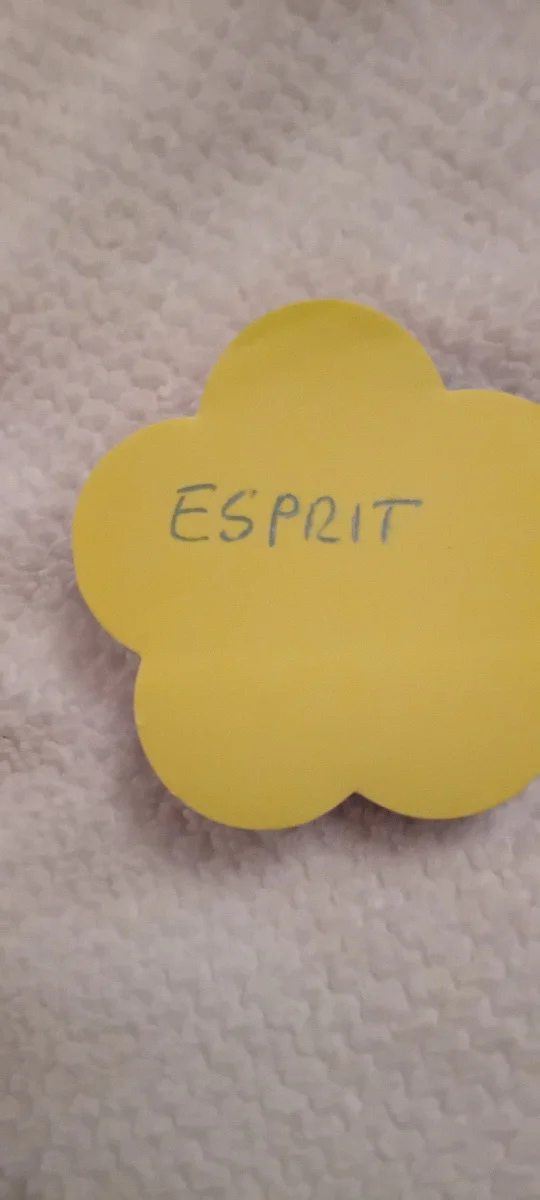 ESPRIT Halskette mit Anhänger Bild 2
