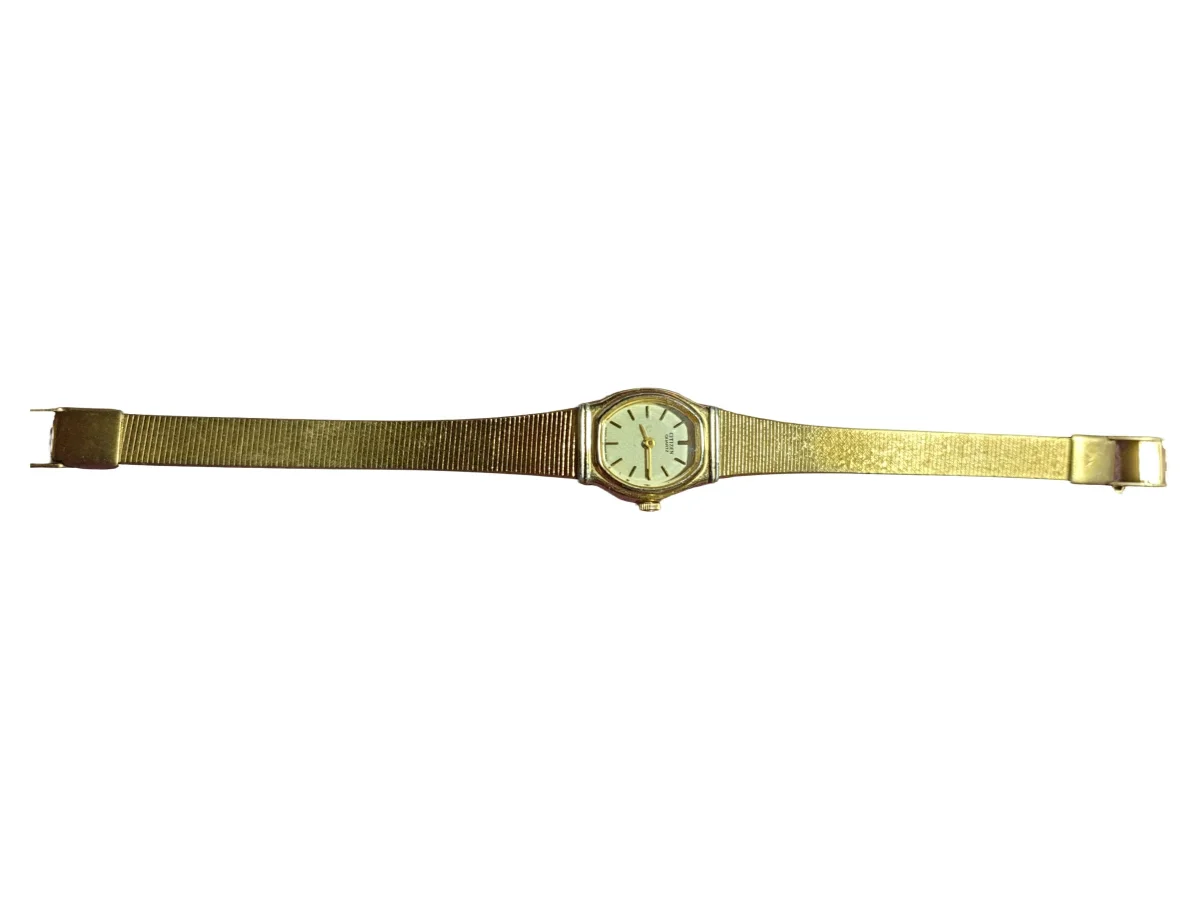 Citizen Armbanduhr