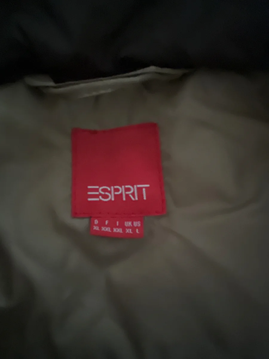 ESPRIT Steppjacke Bild 5