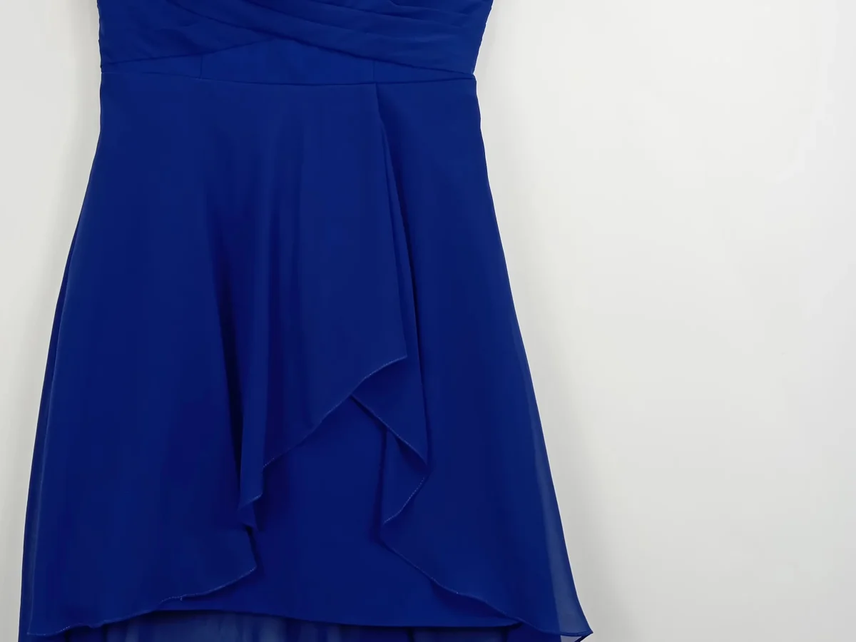 LAONA festliches Kleid Bild 2