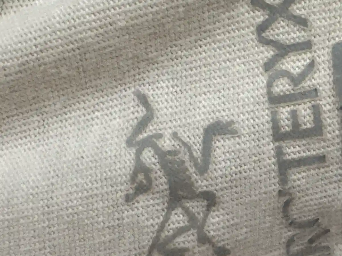 ARC'TERYX T-Shirt Bild 5