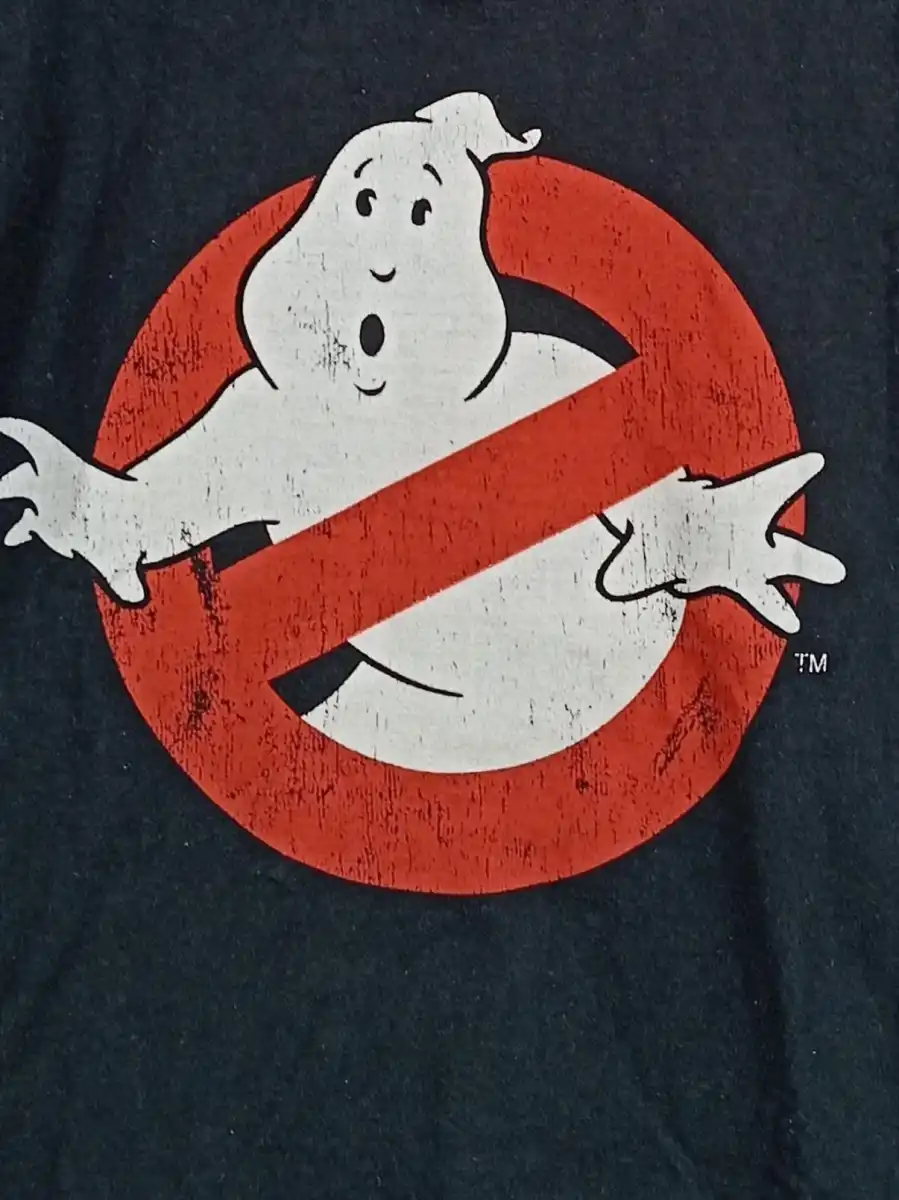 FRUIT OF THE LOOM Fanshirt Bild 2